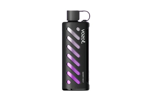 Vozol Gear Shisha 25000 Berry Mint