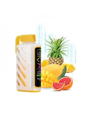 Vozol Gear Power 20000 Caribbean Juice