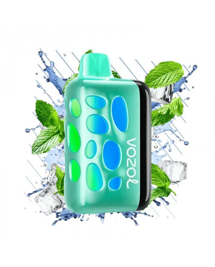 Vozol Rave 40000 Cool Mint